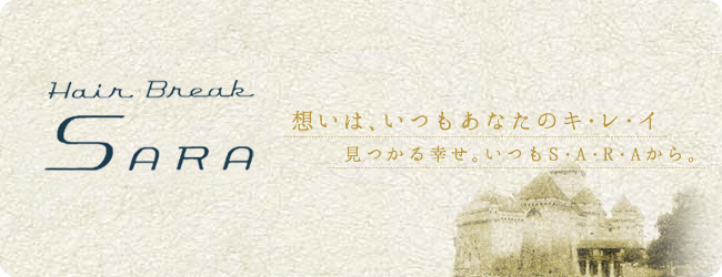 HairBreak SARA-ヘアーブレイクサラ-